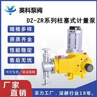 DZ-ZR柱塞式加药计量泵