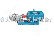 KCB不锈钢/不锈钢齿轮泵/环宇Z大生产商