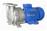 2BV2BV型水环式真空泵（上海厂家价格）