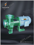 CQB15-15-65F氟塑料磁力泵 离心磁力泵 化工磁力泵