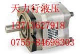 中国台湾全懋齿轮泵