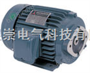 中国台湾JIA CHENG油泵电机