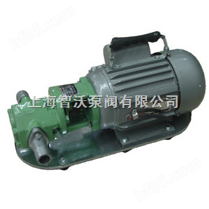 WCB型齿轮油泵 柴油泵 抽油泵