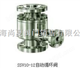 SSV 10-12 系列泵保护阀