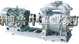 2SK系列两级水环真空泵，2SK-P1两级水环真空泵-大气喷射泵机组