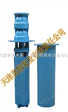300QJR（160m3/h--370m3/h）郑州热水潜水泵-井用热水泵