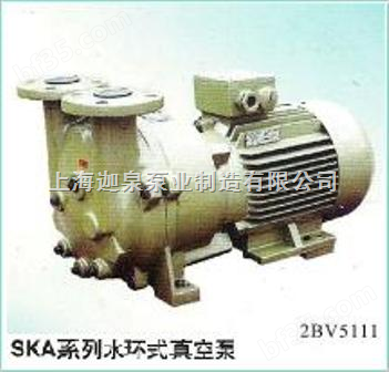 SKA系列水环式真空泵