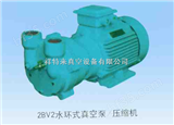 2BV2060水环式真空泵