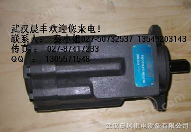 T6D-038-2R01-B1丹尼逊叶片泵
